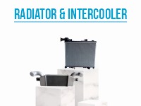 Radiator Or Intercoolers Assy