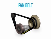 Fan Belts