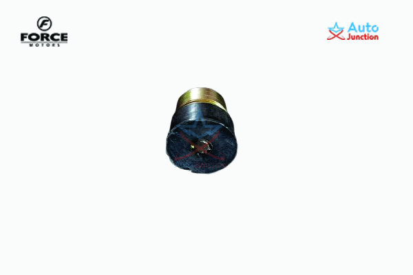 Magnetic Drain Plug