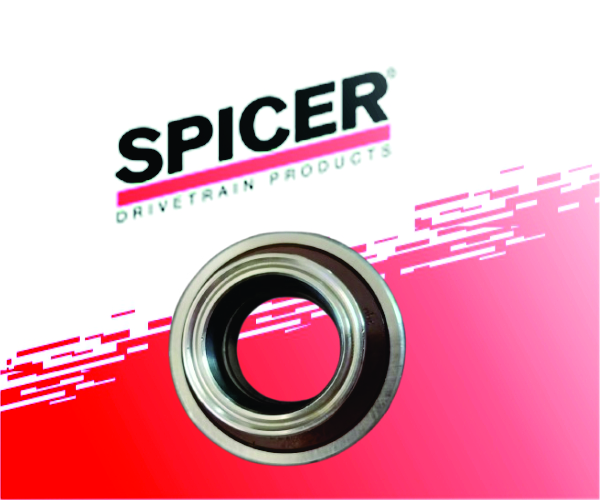 Axle Shaft Bearing