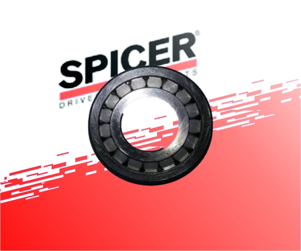 Pinion Outer Bearing
