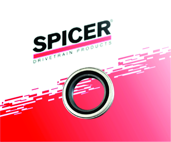 Oil Seal