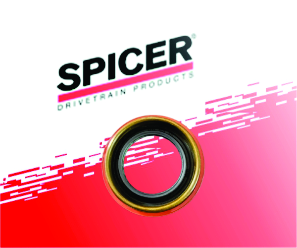 Oil Seal