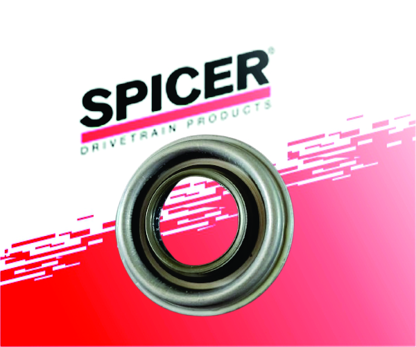 Pinion Oil Seal