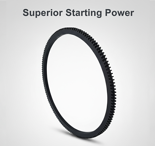 Starter Ring 140t view 7