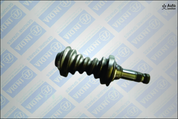 Steering Worm
