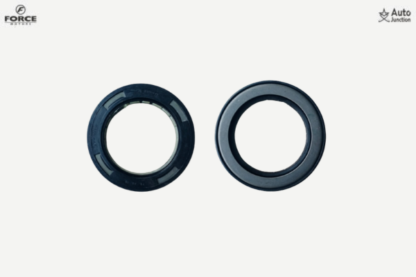 Oil Seals