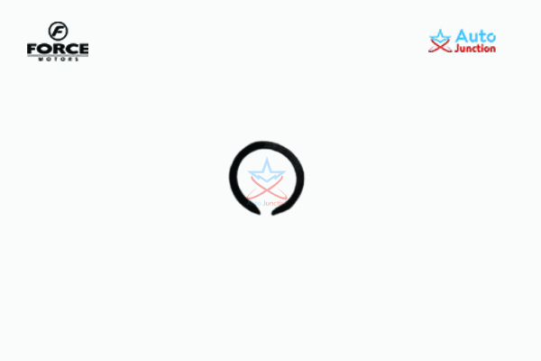 Snap Ring As Required 253 Mm