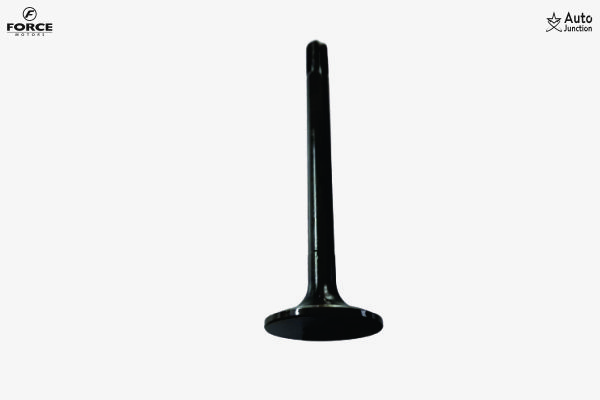 Exhaust Valve 214n Exhaust Valve 214n