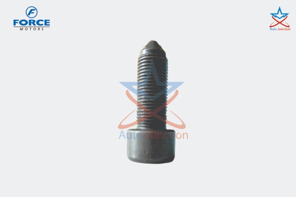 Special Allen Bolt