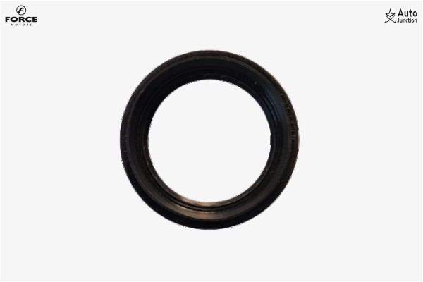 Oil Seal