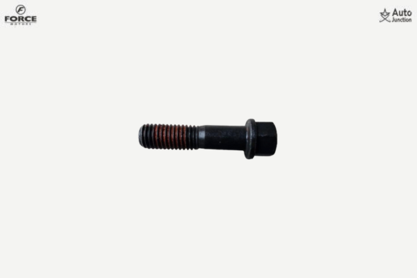 Special Flange Bolt