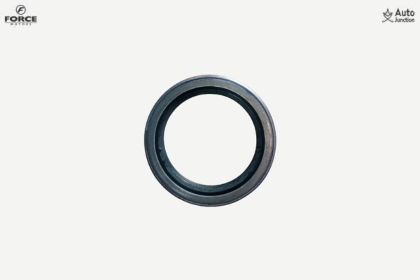 Oil Seal