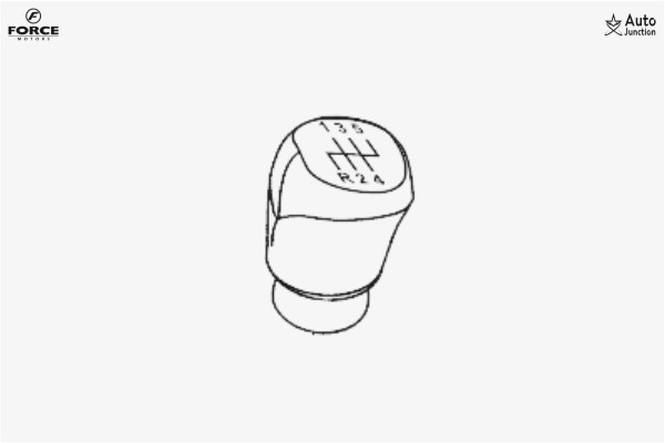 Gear Shifting Knob  F2010