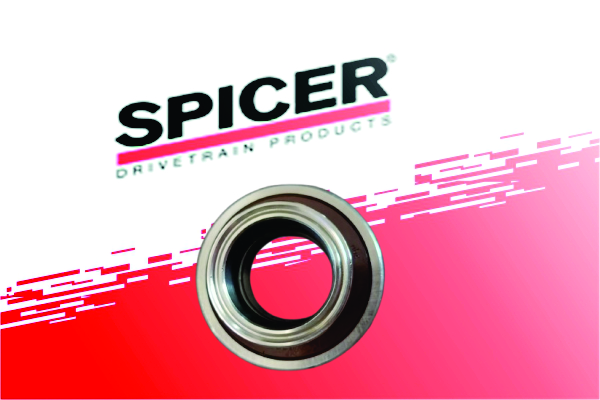 Axle Shaft Bearing
