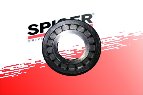 Pinion Outer Bearing