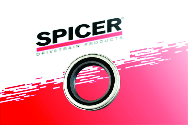 Oil Seal