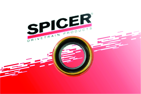 Oil Seal