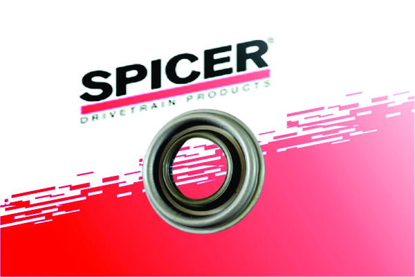 Pinion Oil Seal