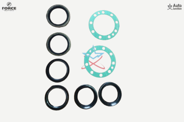 Oil Seal Kit